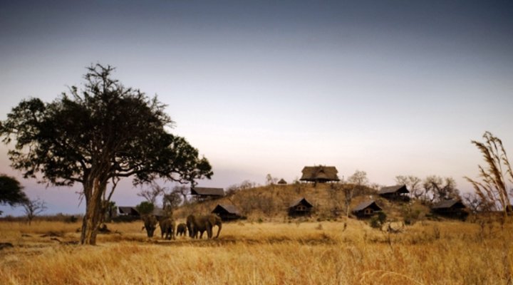 Stanley's Kopje Mikumi National Park