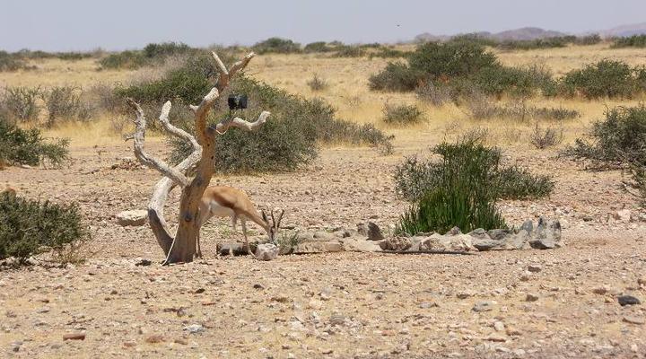 Weltevrede Guest Farm