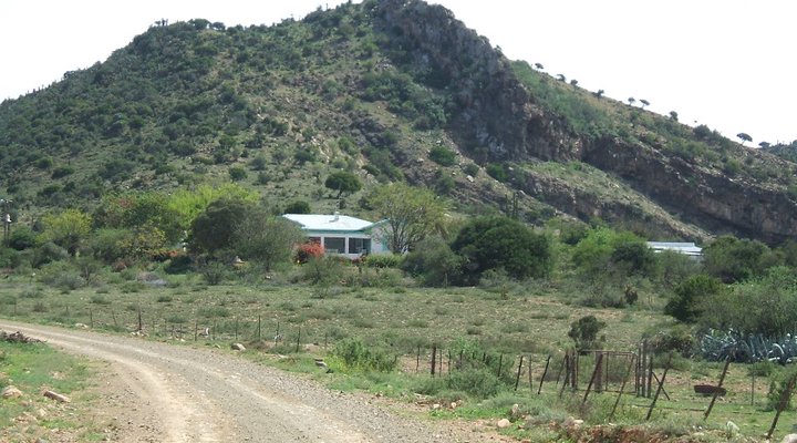 Osplaat Farm Stays & Horse Centre