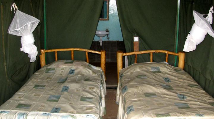 Big Time Safari Camp