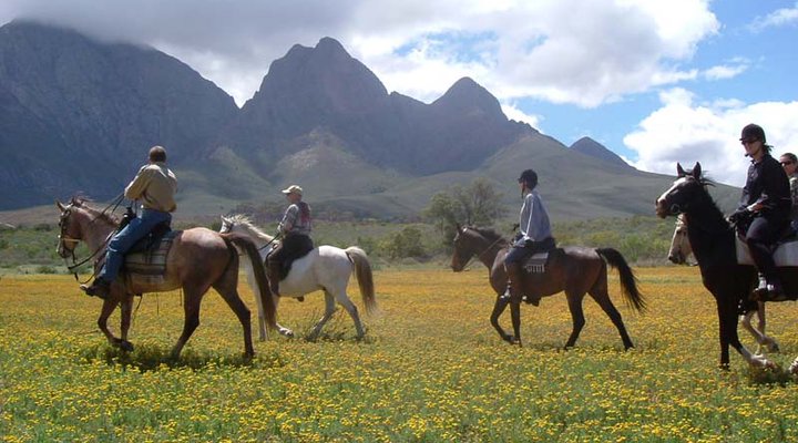Fairy Glen Game Reserve