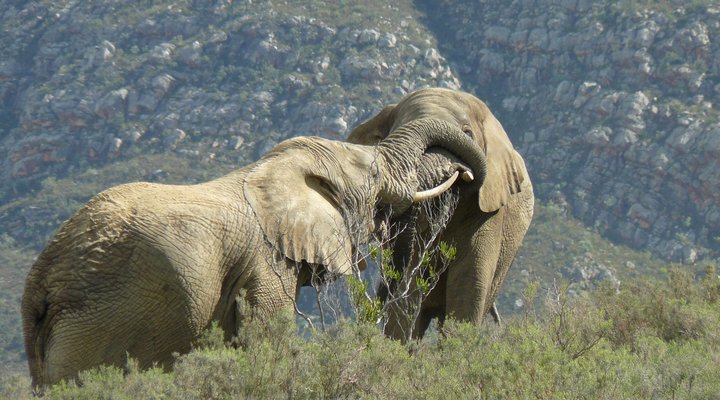Fairy Glen Game Reserve