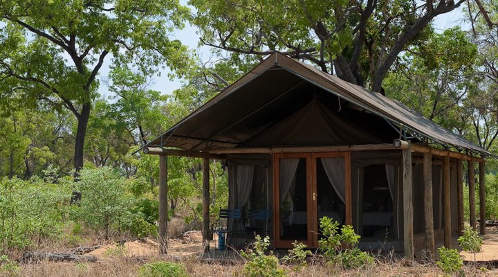 Wilderness Safaris Davison's Camp