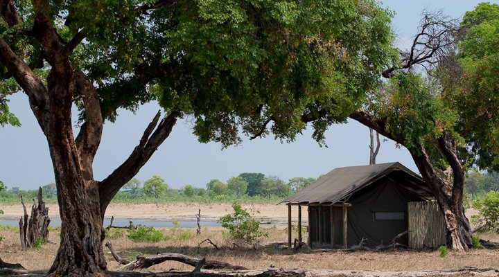 Wilderness Safaris Davison's Camp