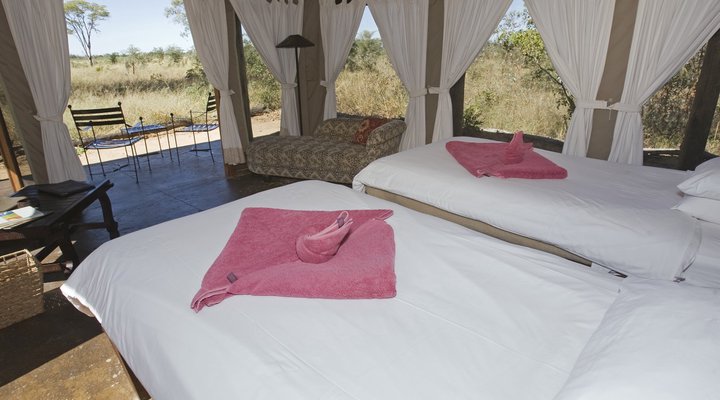 Wilderness Safaris Davison's Camp