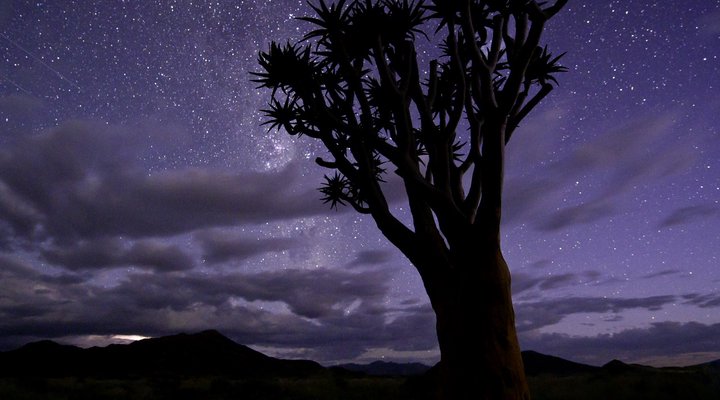 Wilderness Safaris Kulala Desert Lodge