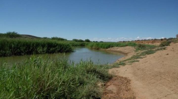 Zakrivier Guest Farm