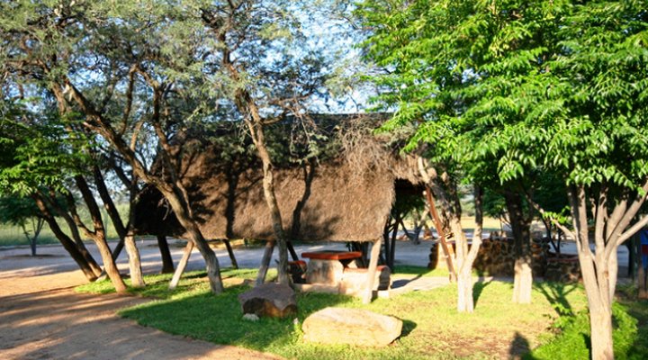 Zelda Game and Guest Farm