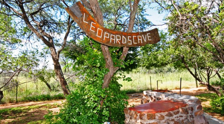 Zelda Game and Guest Farm