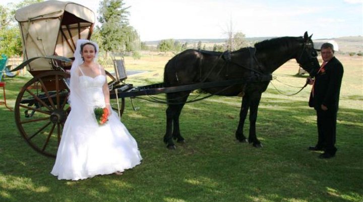 Swallows Inn Guest House