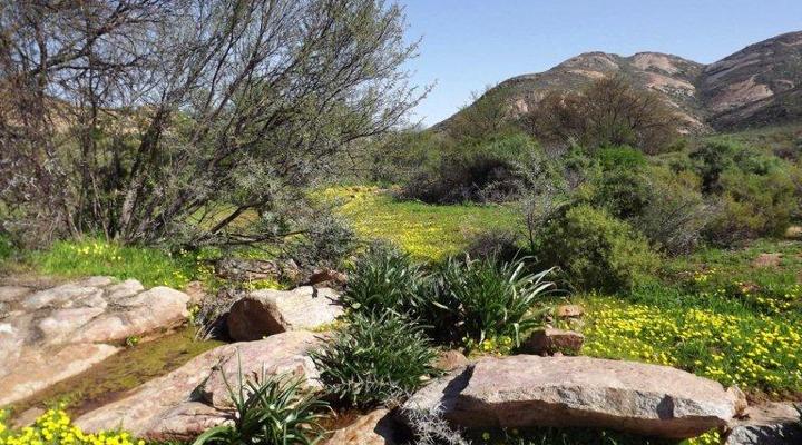 Verbe Farm Accommodation