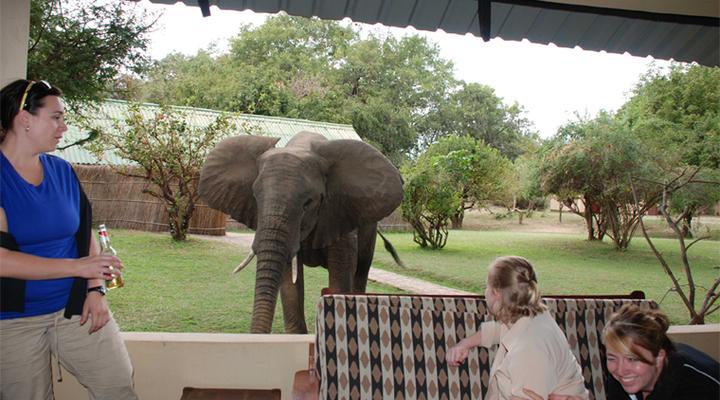 Marula Lodge