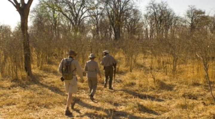 Footsteps Across the Linyanti
