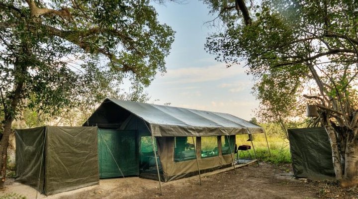 Footsteps Across The Delta