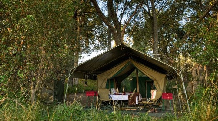 Footsteps Across The Delta