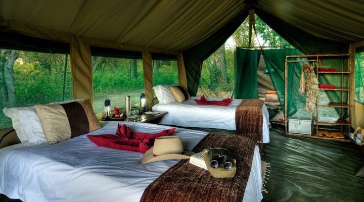 Footsteps Across The Delta