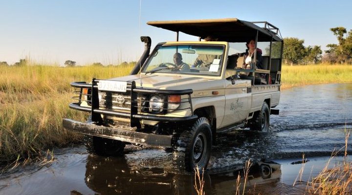 Footsteps Across The Delta