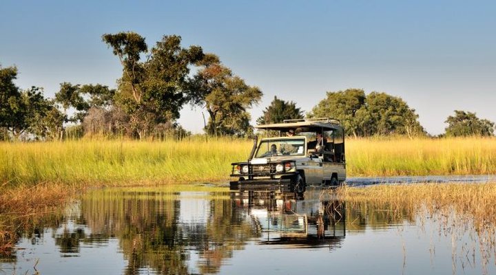 Footsteps Across The Delta
