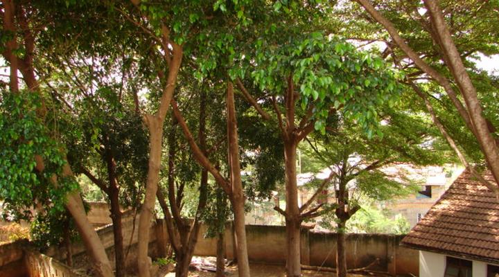 Riversand Holiday Rentals