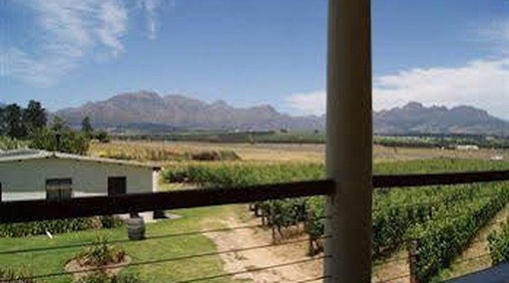 Lovane Boutique Wine Estate