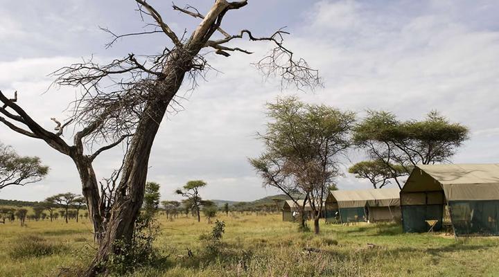 Tanganyika Wilderness Camps