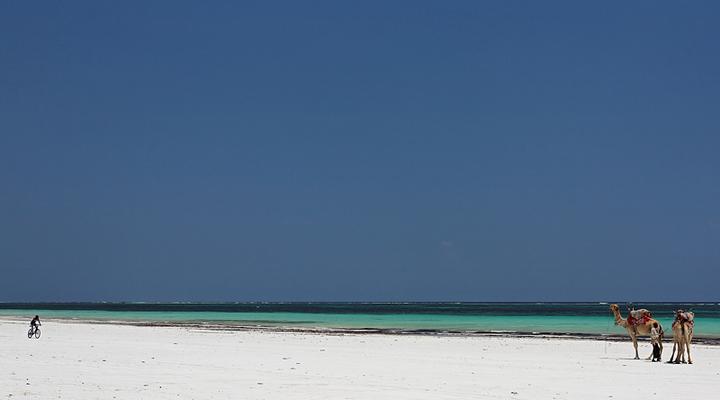 Kenyaways Beach B&B Diani Beach