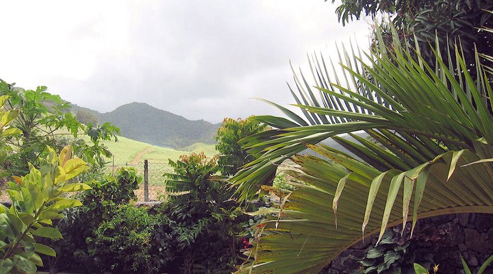 Casa Tia Villa Holiday Home Mauritius