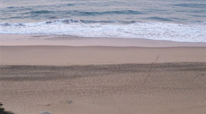 Doonside - Driftsands 65