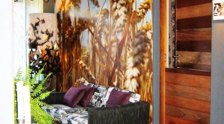 Kalm: A Colourful Place to Stay