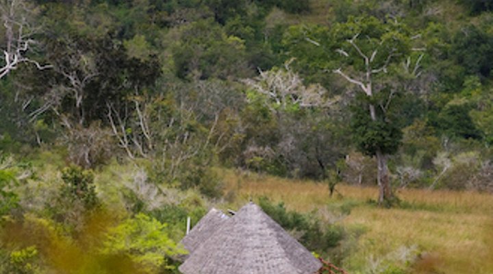 Sable Valley Treehouses