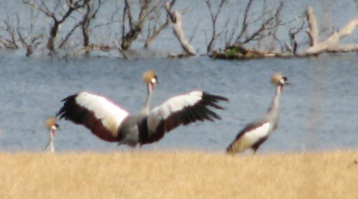 Fountain Hall Guest Farm