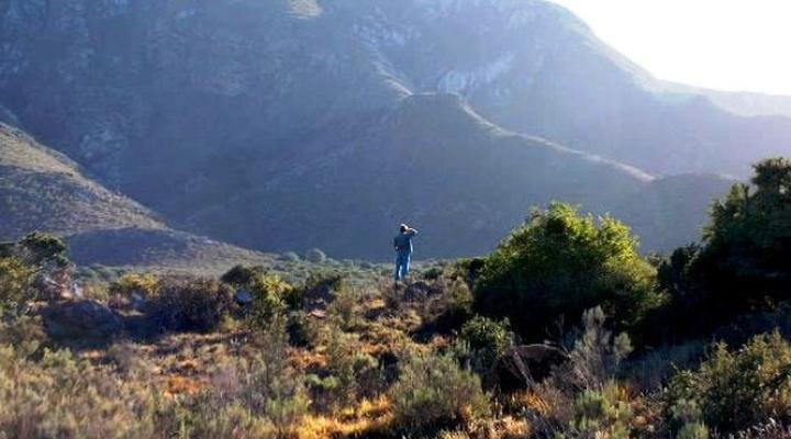 Elandsheuwel Guest Farm