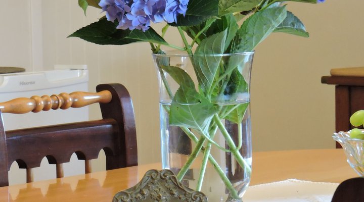 Tracey's B&B
