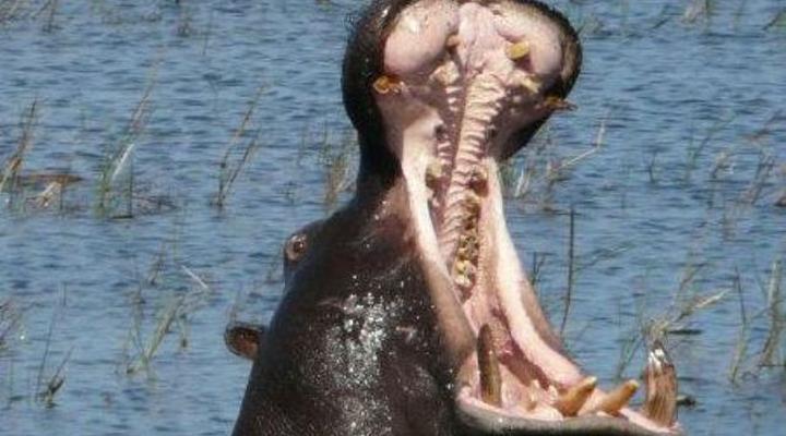 Malyo Wilderness Camp