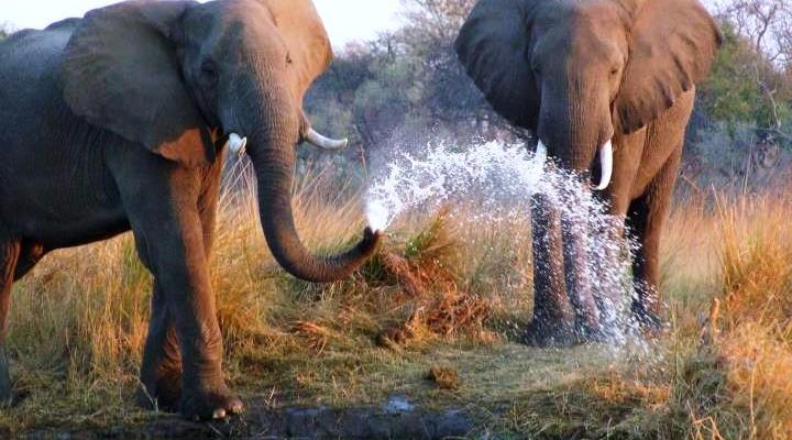 Malyo Wilderness Camp