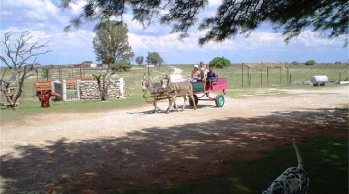 Middelpos Guest Farm