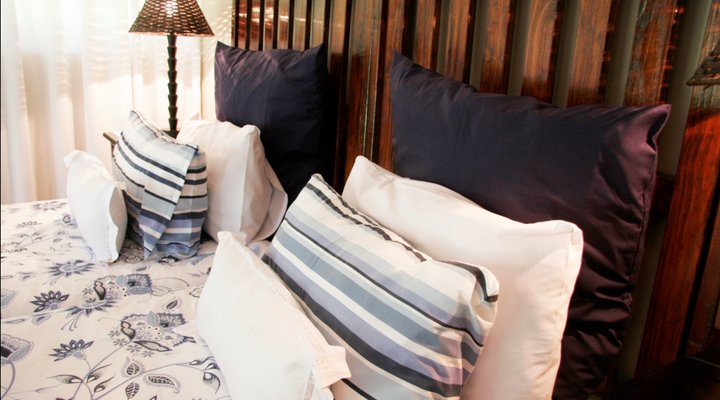 Midrand Wild Goose B&B