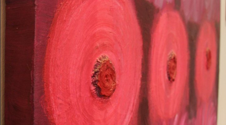 Midrand Wild Goose B&B