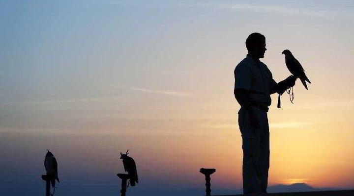 Al Maha a Luxury Collection Desert Resort & Spa