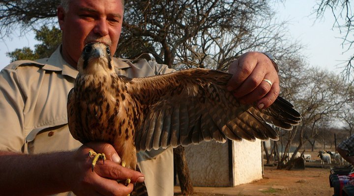 Wag 'n Bietjie Gou-Gou