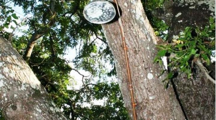 Mbuluzi Tented Lodge