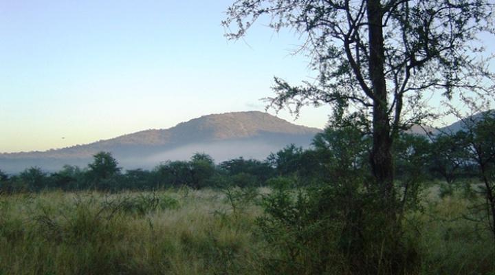 Mbuluzi Campsite