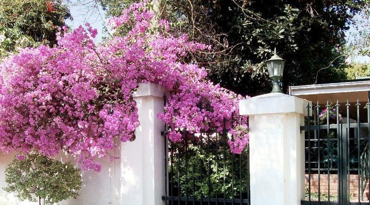 Victoria Place Self-Catering