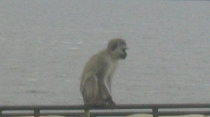 Arcadia Cottages Lake Mburo