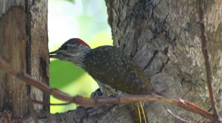 Ocean Grove Guest House