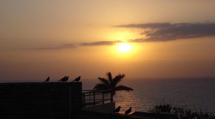 Albatros Guest House