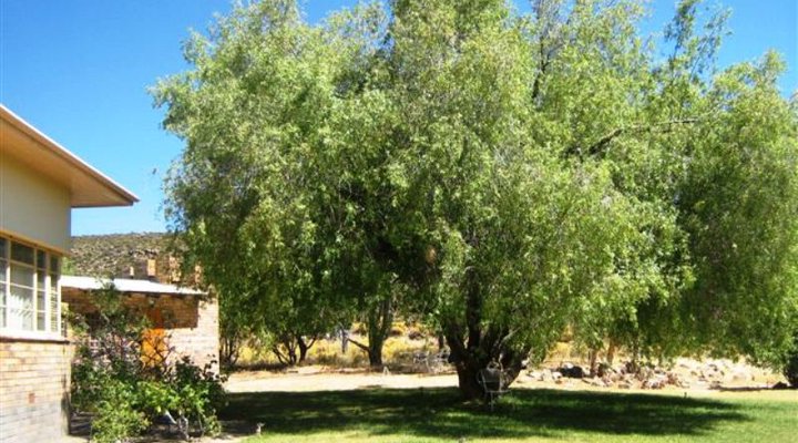 Welgemoed Guest Farm