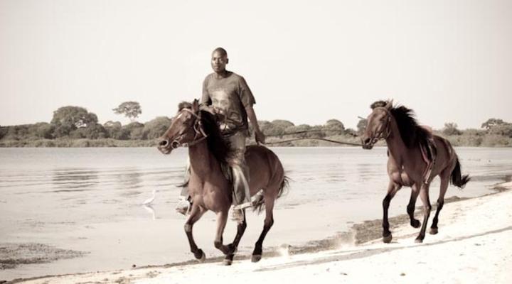 Pineapple Bay Resort