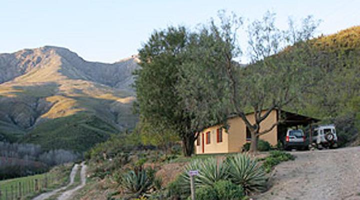 Oudemuragie Guest Farm