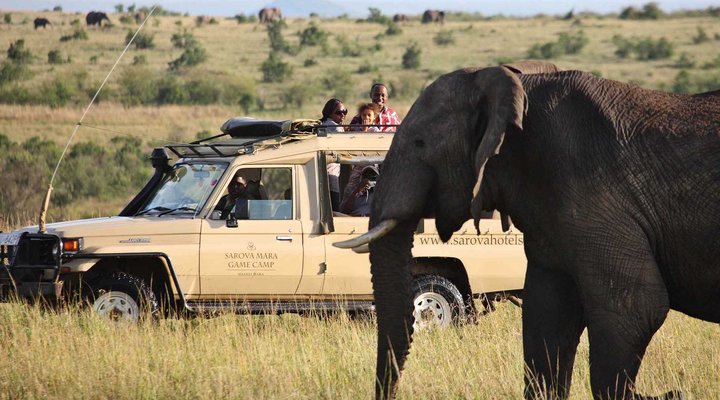 Sarova Mara Game Camp